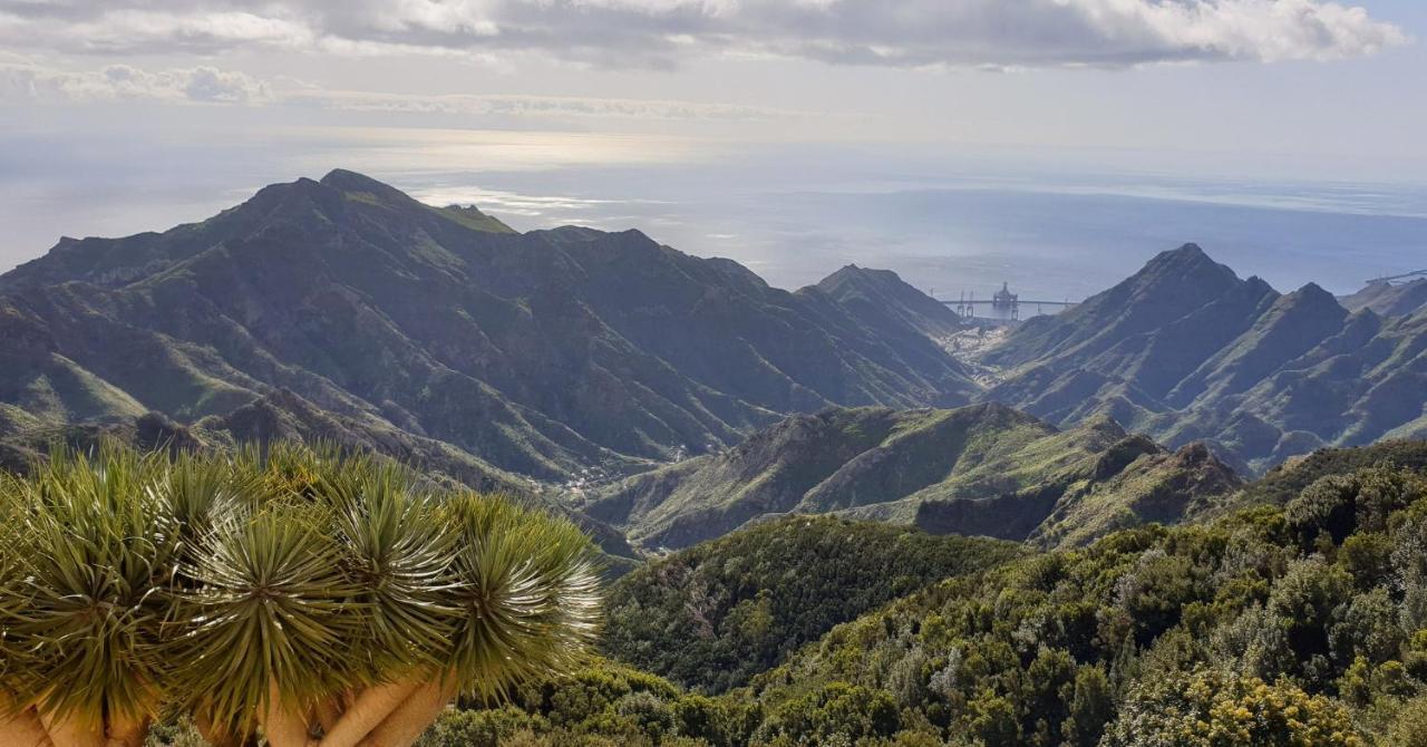 Santa Cruz De Tenerife Toscal Exteriér fotografie